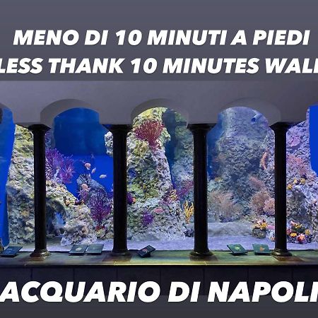 Bausan44 Napoli Ngoại thất bức ảnh
