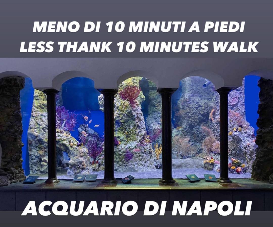 Bausan44 Napoli Ngoại thất bức ảnh